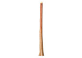 Wix Stix Didgeridoo (WS415)